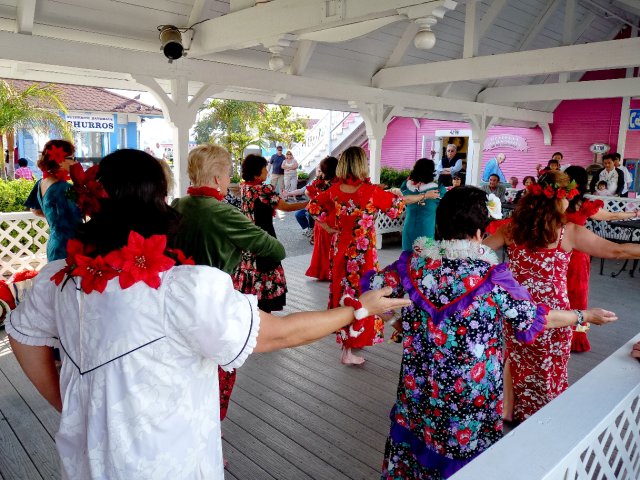 P1000081.jpg
