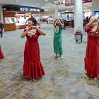 P1020637   © Joe Weingart 2012